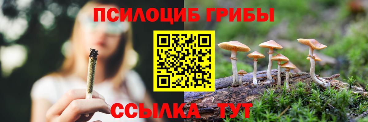 Псилоцибиновые грибы мицелий  Вход с VPN  купить закладку  Янаул 